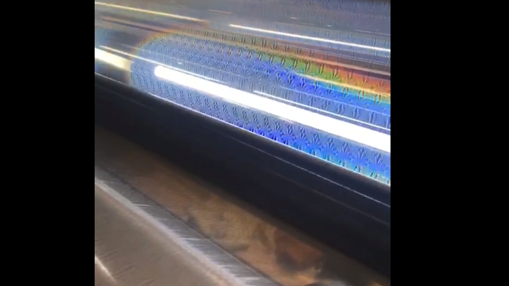 Bopp Transparent Laser/hologram/holographic thermal lamination film